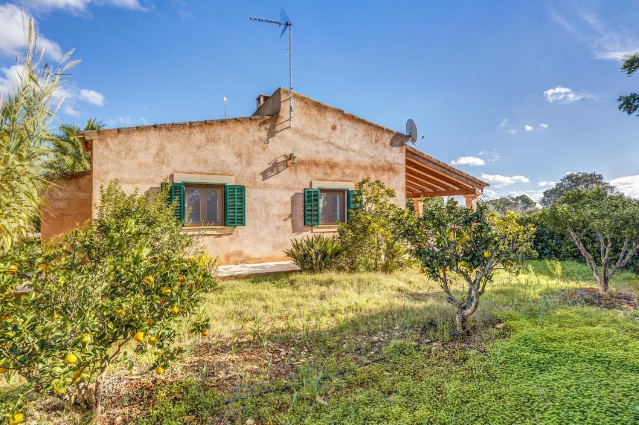 Villa Cami D'es Torres